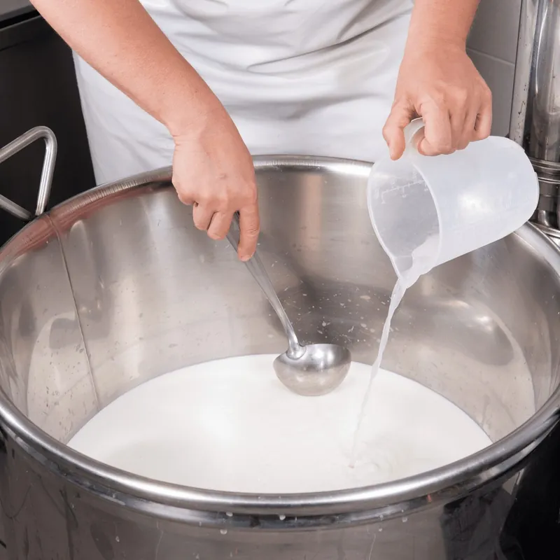 Selbst gemachter Frischkäse in der Form