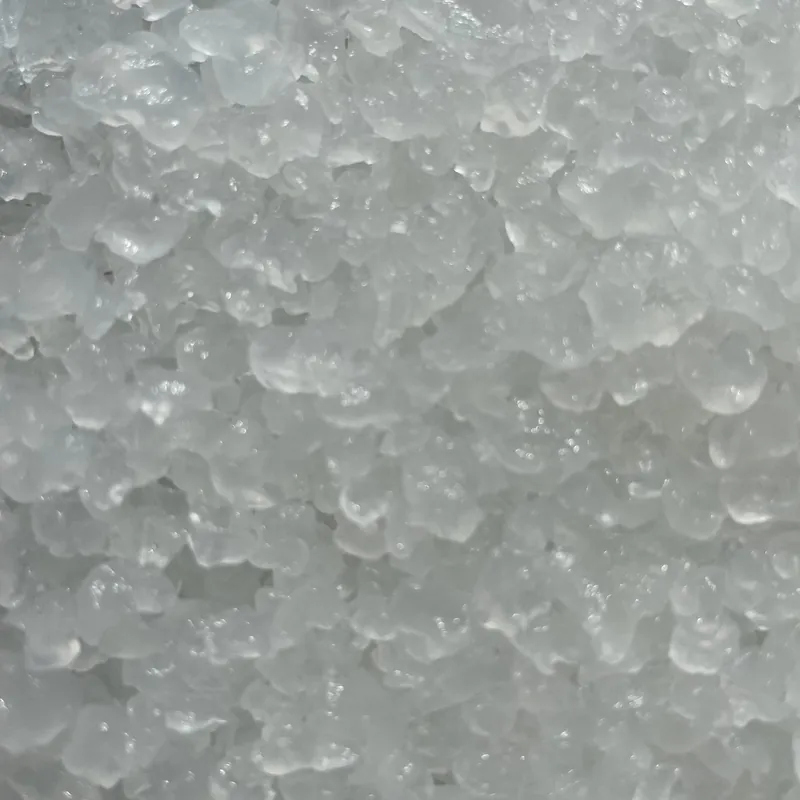 Durchscheinende Wasserkefir-Kristalle